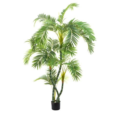 Florabelle - Parlour Palm Twisted Trunk 150cm