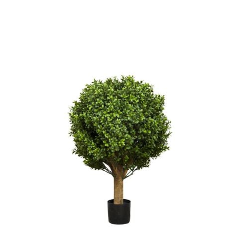 Florabelle Boxwood Ball Tree 65cm - Peter's of Kensington