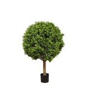 Florabelle - Boxwood Ball Tree 75cm