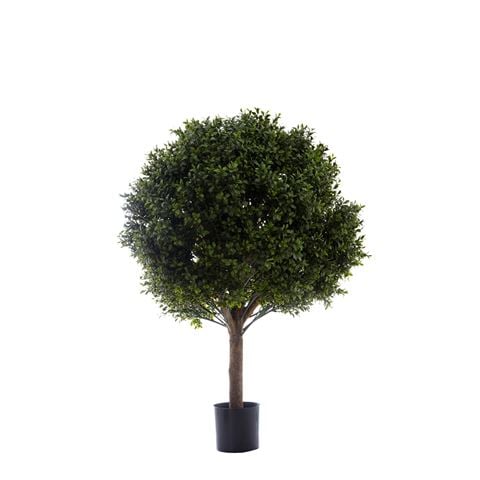 Florabelle Boxwood Ball Tree 85cm - Peter's of Kensington