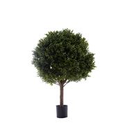 Florabelle - Boxwood Ball Tree 85cm