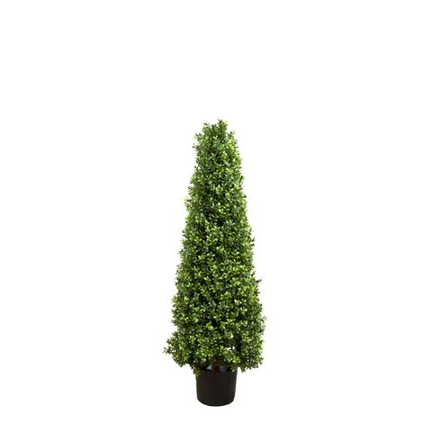 Florabelle - Boxwood Pyramid Tree 100cm | Peter's of Kensington