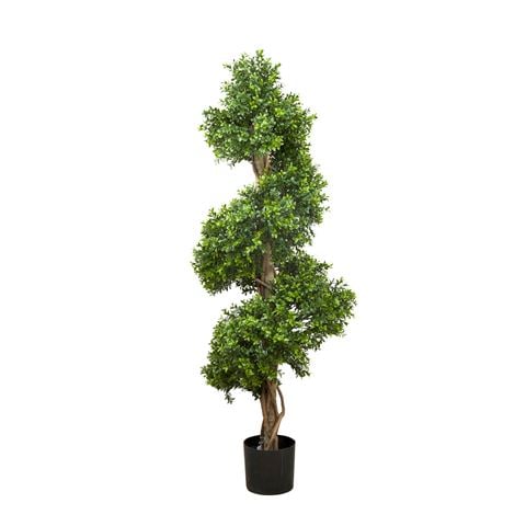 Florabelle - Boxwood Spiral Tree 1.5m