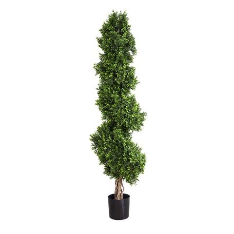 Florabelle Boxwood Spiral Tree 190cm - Peter's of Kensington