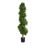 Florabelle - Boxwood Spiral Tree 190cm