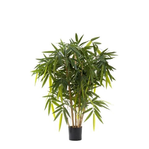Florabelle - New Bamboo Tree 100cm