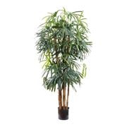 Florabelle - Raphis Palm Broad Leaf Tree 180cm