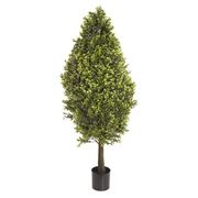 Florabelle - Boxwood Cone 90cm