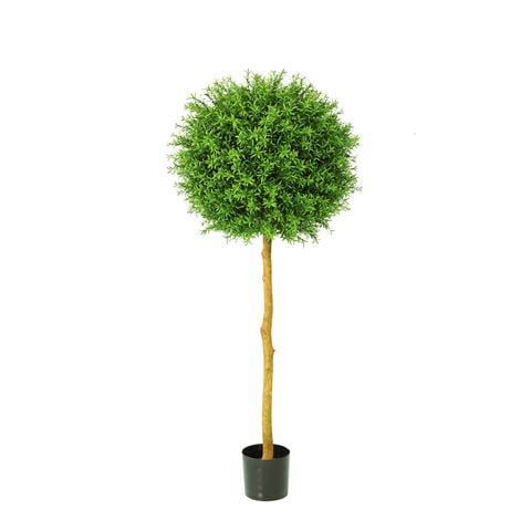 Florabelle Rosemary Ball Tree 120cm - Peter's of Kensington