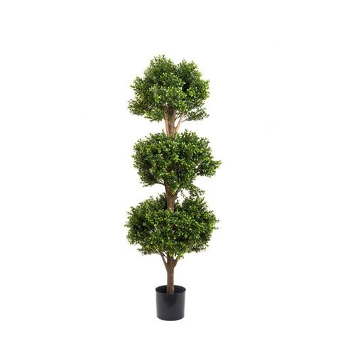 Florabelle - Boxwood Triple Ball Tree 120cm
