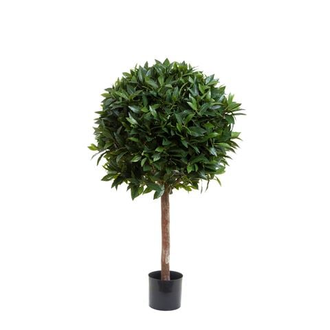 Florabelle - Laurel Ball Tree 110cm