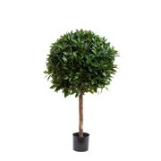Florabelle - Laurel Ball Tree 110cm