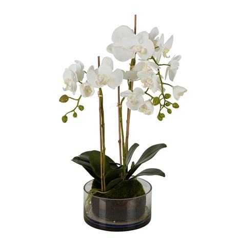 Florabelle
