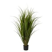 Florabelle - Reed in Pot 95cm
