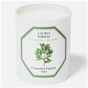 Carriere Freres - Bay Laurel Scented Candle 185g