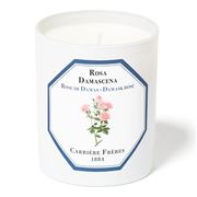 Carriere Freres - Damask Rose Scented Candle 185g