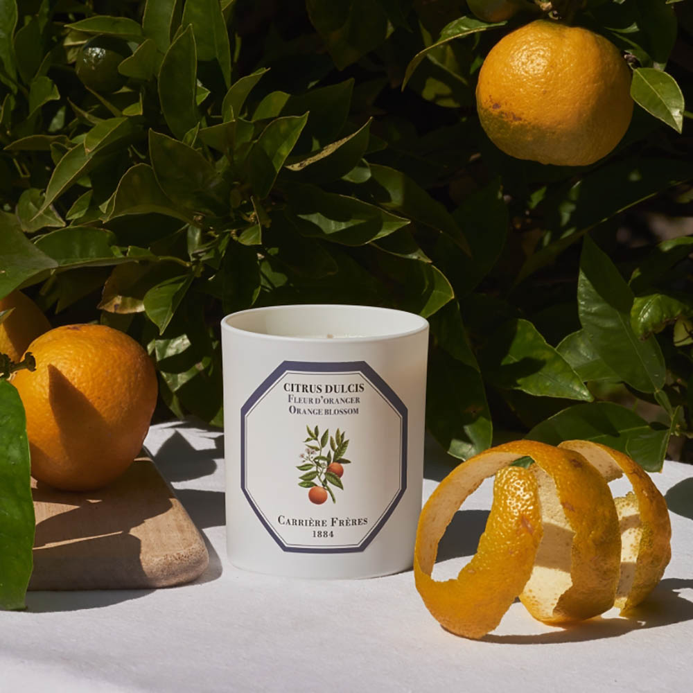 Carriere Freres Orange Blossom Scented Candle 185g Peter's of