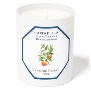 Carriere Freres - Orange Blossom Scented Candle 185g