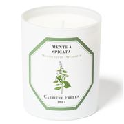 Carriere Freres - Spearmint Scented Candle 185g