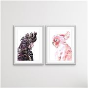 I Heart Wall Art - Cockatoo 2pc White Frame 100x140
