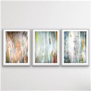I Heart Wall Art - Eucalyptus Bark 3pc White Frame 75x100