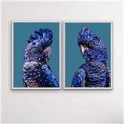 I Heart Wall Art - Cockatoo On Blue 2pc White Frame 100x140