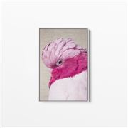 I Heart Wall Art - Pink Cockatoo White Frame 120x160