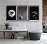 I Heart Wall Art - Black And White Dandelions Art 3pc 75x100