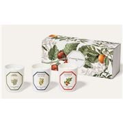Carriere Freres - Classic Botanical Candle Set 3x70g