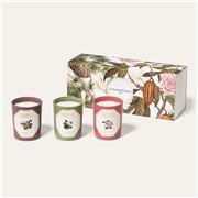 Carriere Freres - Carriere Christmas Botanical Trio 3 x 70g