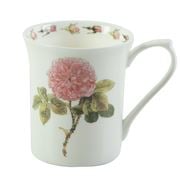 Queens - Royal Parsons Roses Rosa Centifolia Mug
