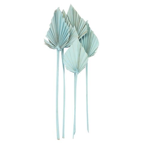 Coastal Home - Spade Palm Dried Light Blue 46cm 5pce