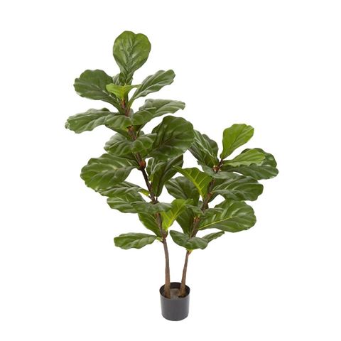 Florabelle - Fiddle Leaf Tree 1.13m