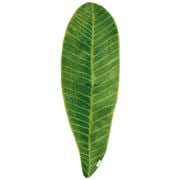 Abyss & Habidecor - Feuille-Leaf Apple Green Bath Mat / Rug