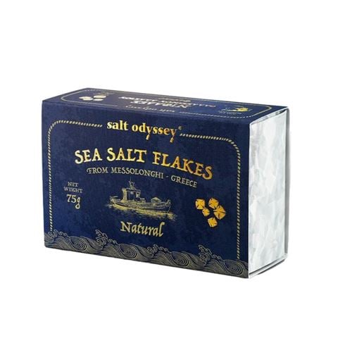 Salt Odyssey