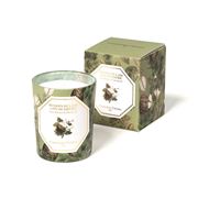 Carriere Freres - Benzion & Fir Candle 185g