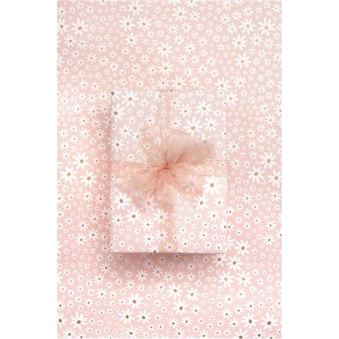 Vandoros - Daisy Chain Champagne Wrapping Paper 76cm x 2.5m
