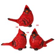 Raz - Cardinal 8cm