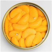 Candle Can - Peeled Tangerine Scented Soy Candle 230g