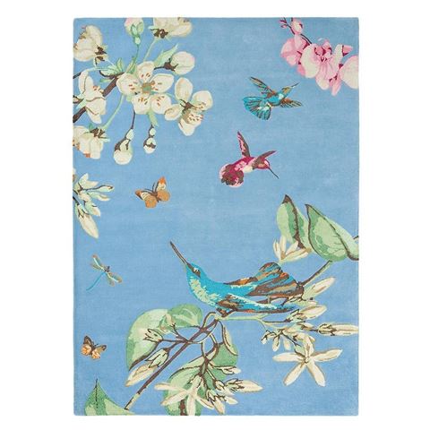 Wedgwood Rug Hummingbird Blue 280x200cm - Peter's of Kensington