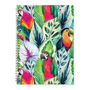 Book - Toucan Birds Spiral Notepad A4