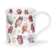 Dunoon - Bute Birdlife Owls Mug 300ml
