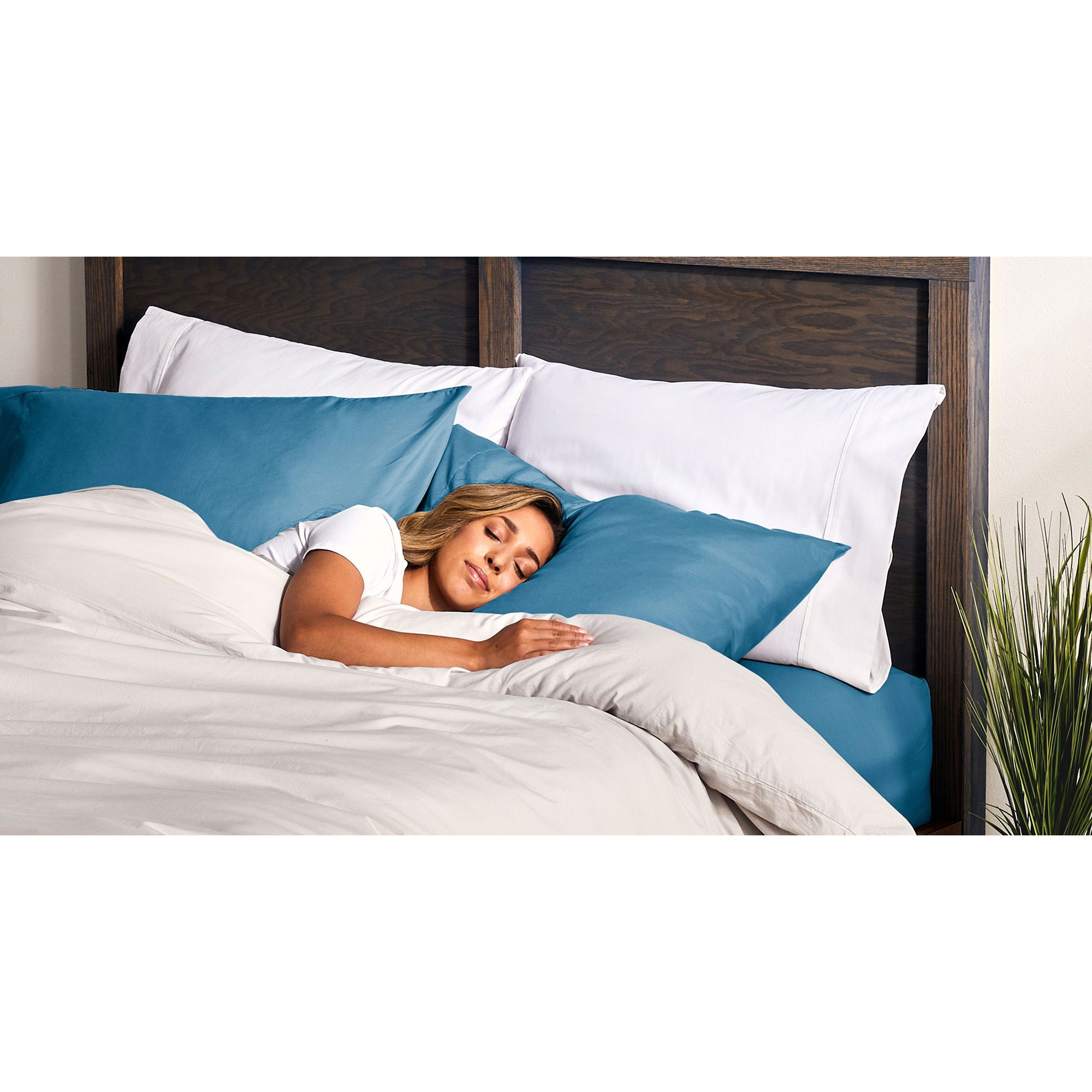 Sunbeam Sleep Perfect Antibacterial Electric Blanket Queen Peter's