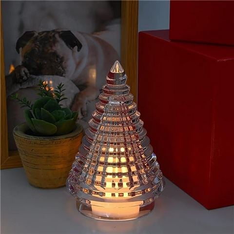 Baccarat - Noel Eye Fir Clear Small