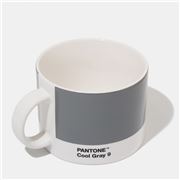 Pantone - Tea Cup Cool Gray 9