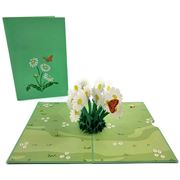 Colorpop - Mothers Day Daisy Patch Pop Up Card