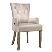 Artiss - Dining Chairs French Provincial Velvet Camel