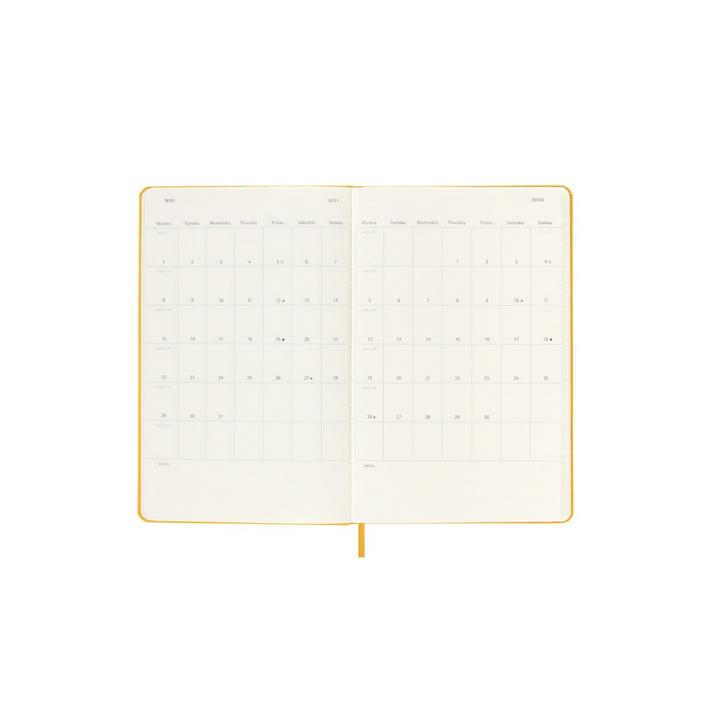 Moleskine 2023 Daily Diary Hard Cover Large Orange Yellow Peter's