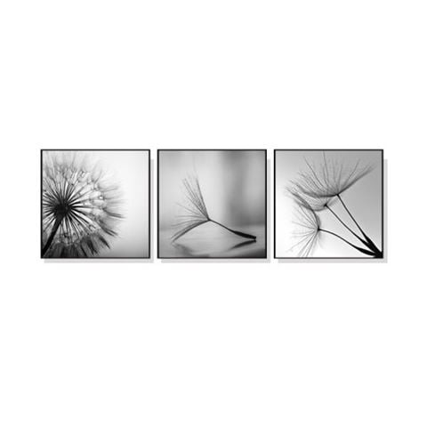 Art & Canvas