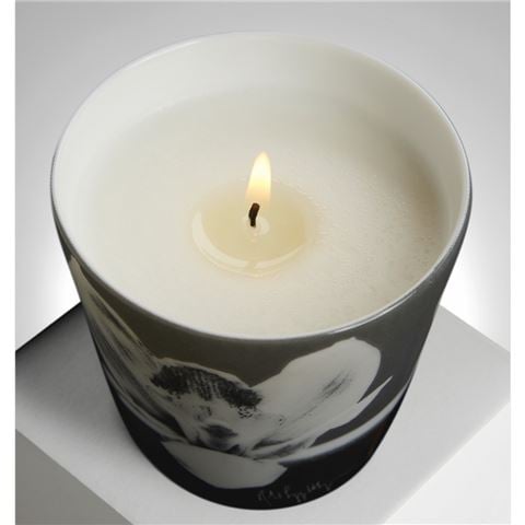 Ligne Blanche Robert Mapplethorpe Calla Lily & Orchid Candle Set 2pce - Peter's of Kensington
